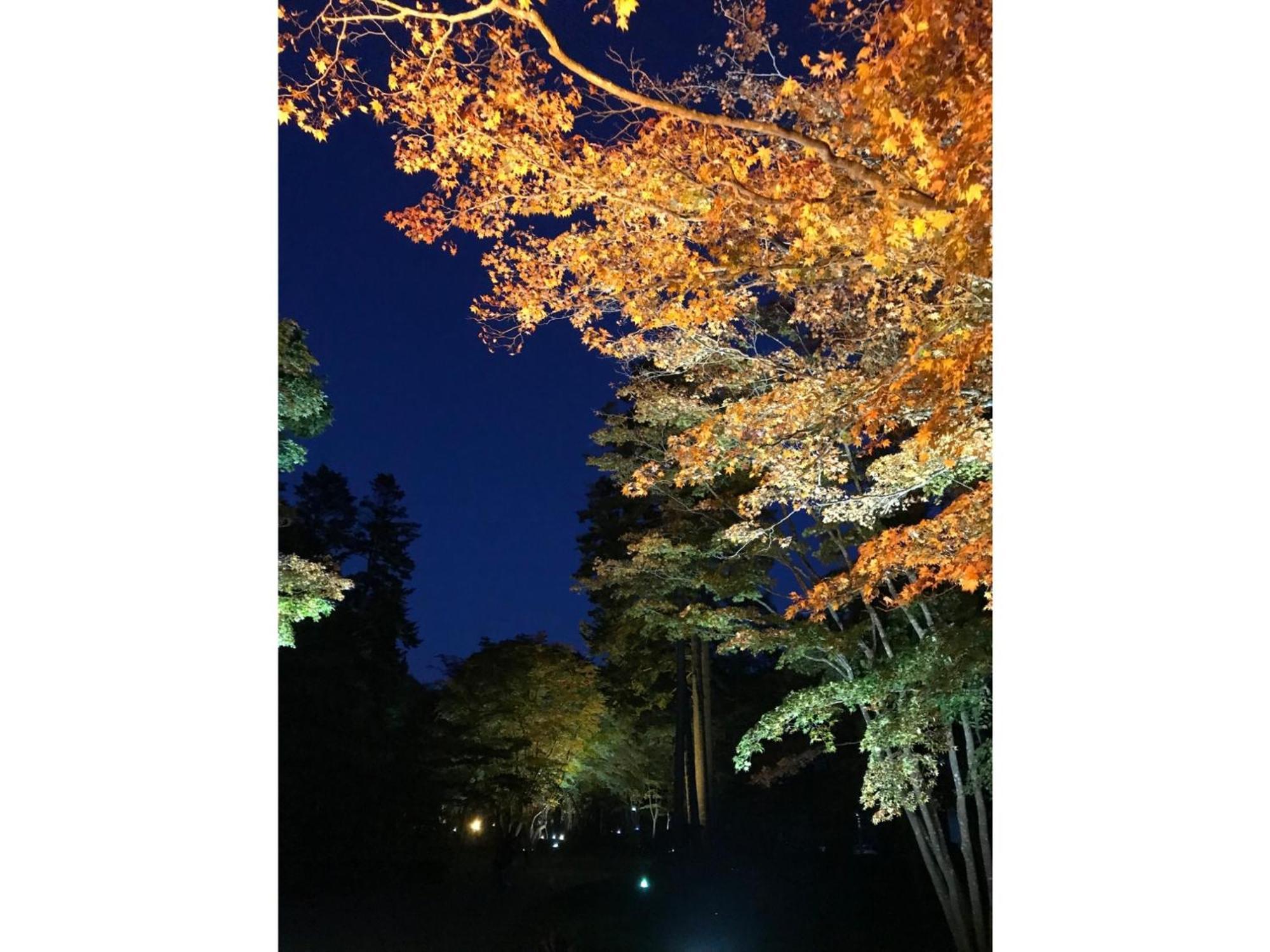 Hotel Tetora Yunokawaonsen - Vacation Stay 30730V Hakodate Exterior foto